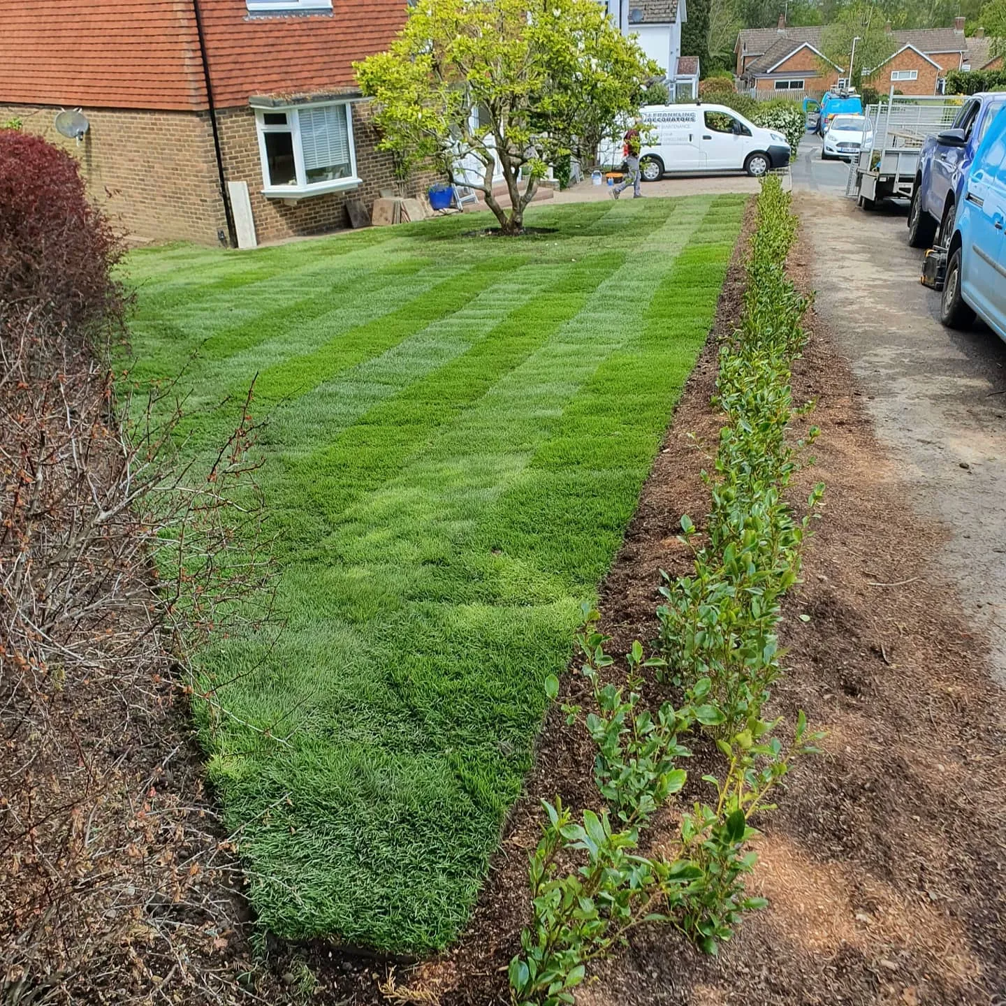 A yard with a lawn mowing machine in the middle of it.