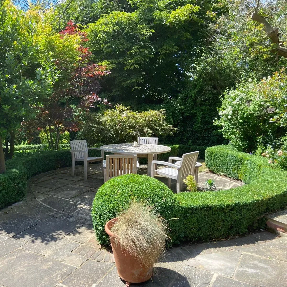 A large potted plant sitting on top of a stone patio.