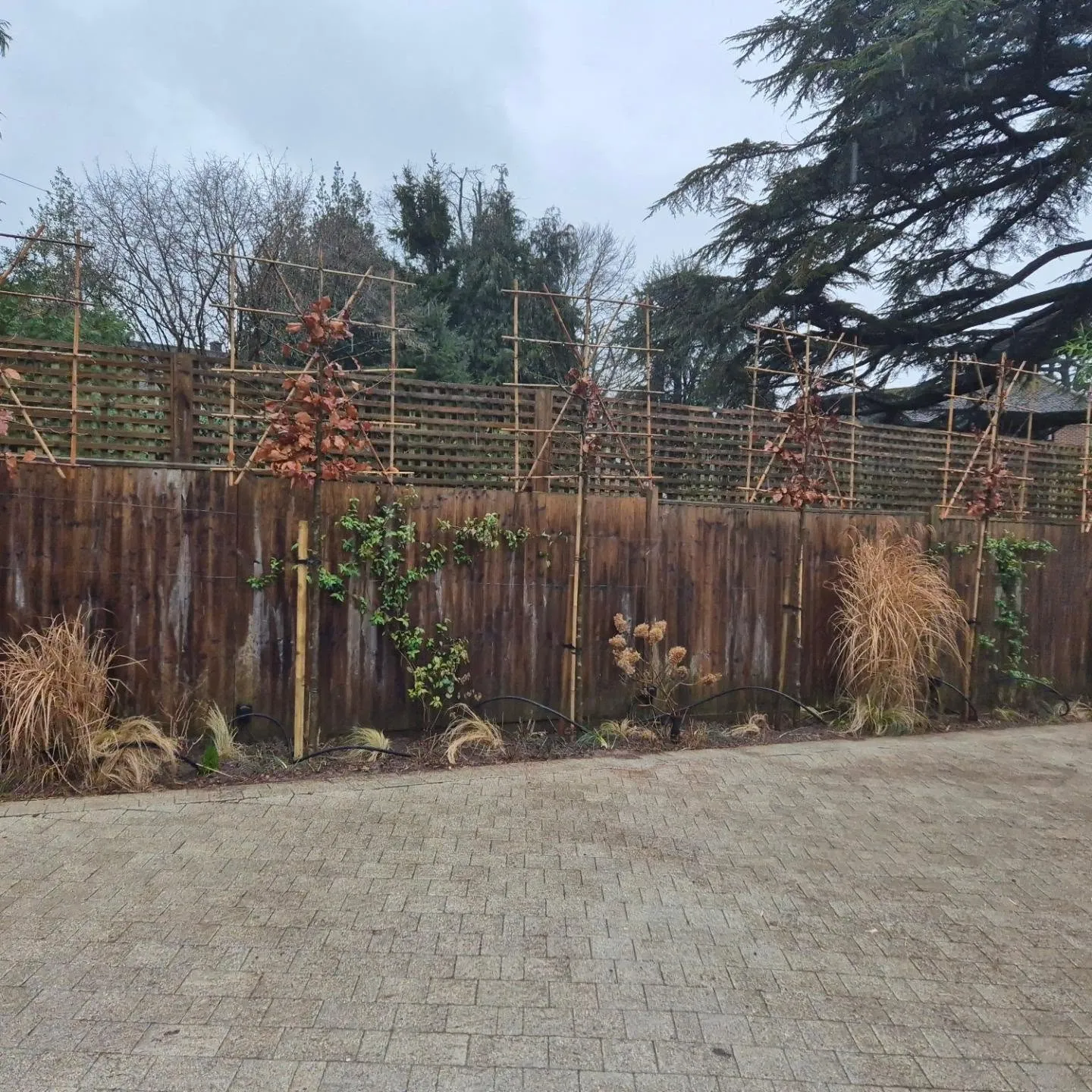 A fence that has some plants growing on it.
