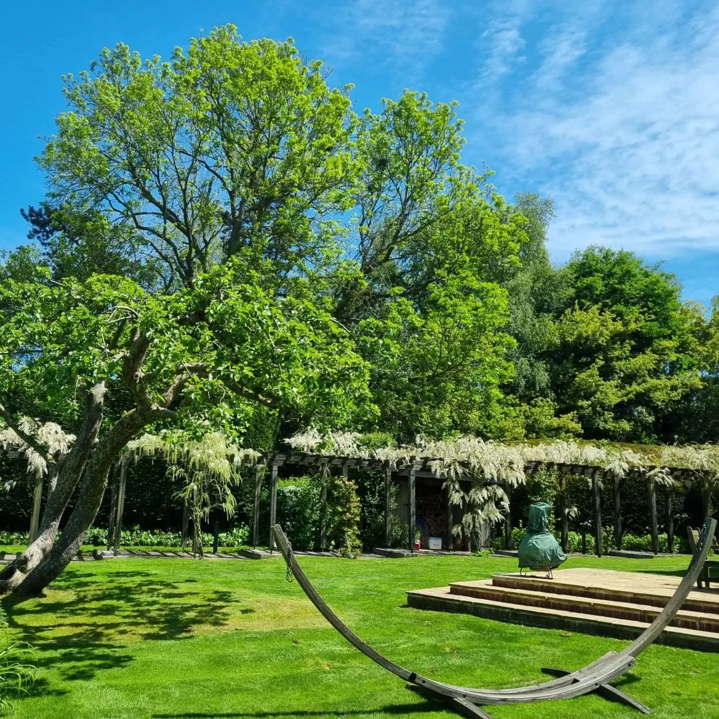 A park with a bench and a tree in the middle of it.