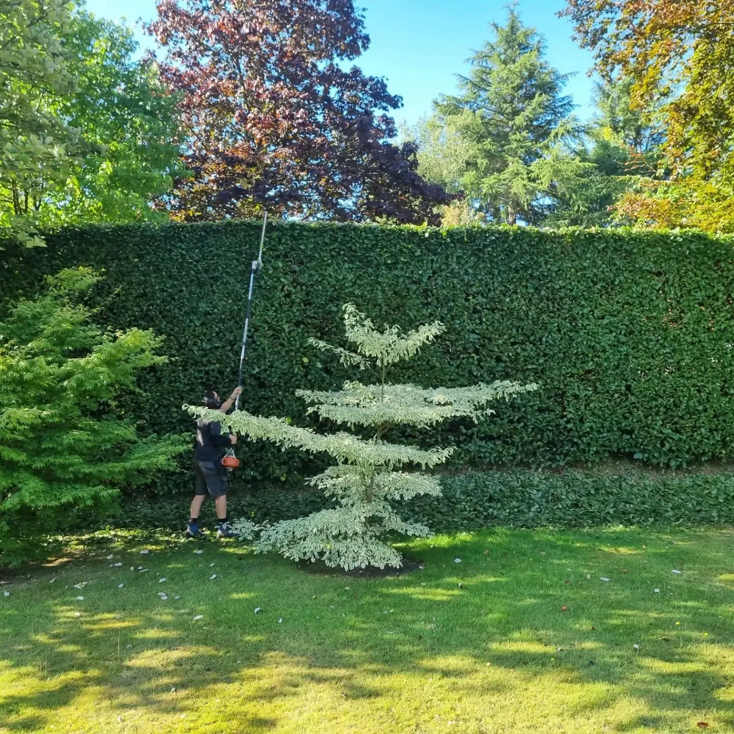 A man standing in front of a hedge holding a pole.