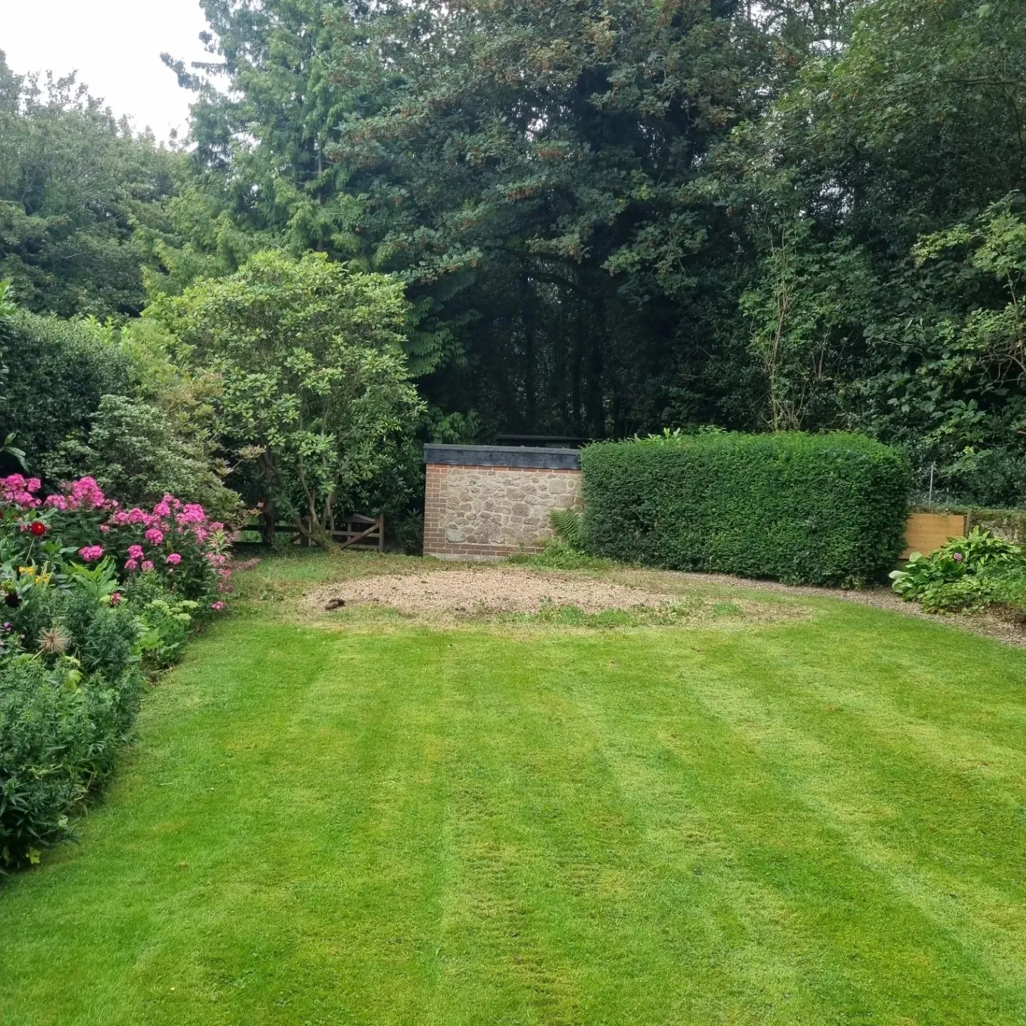 A yard with a fence, bushes, and flowers.