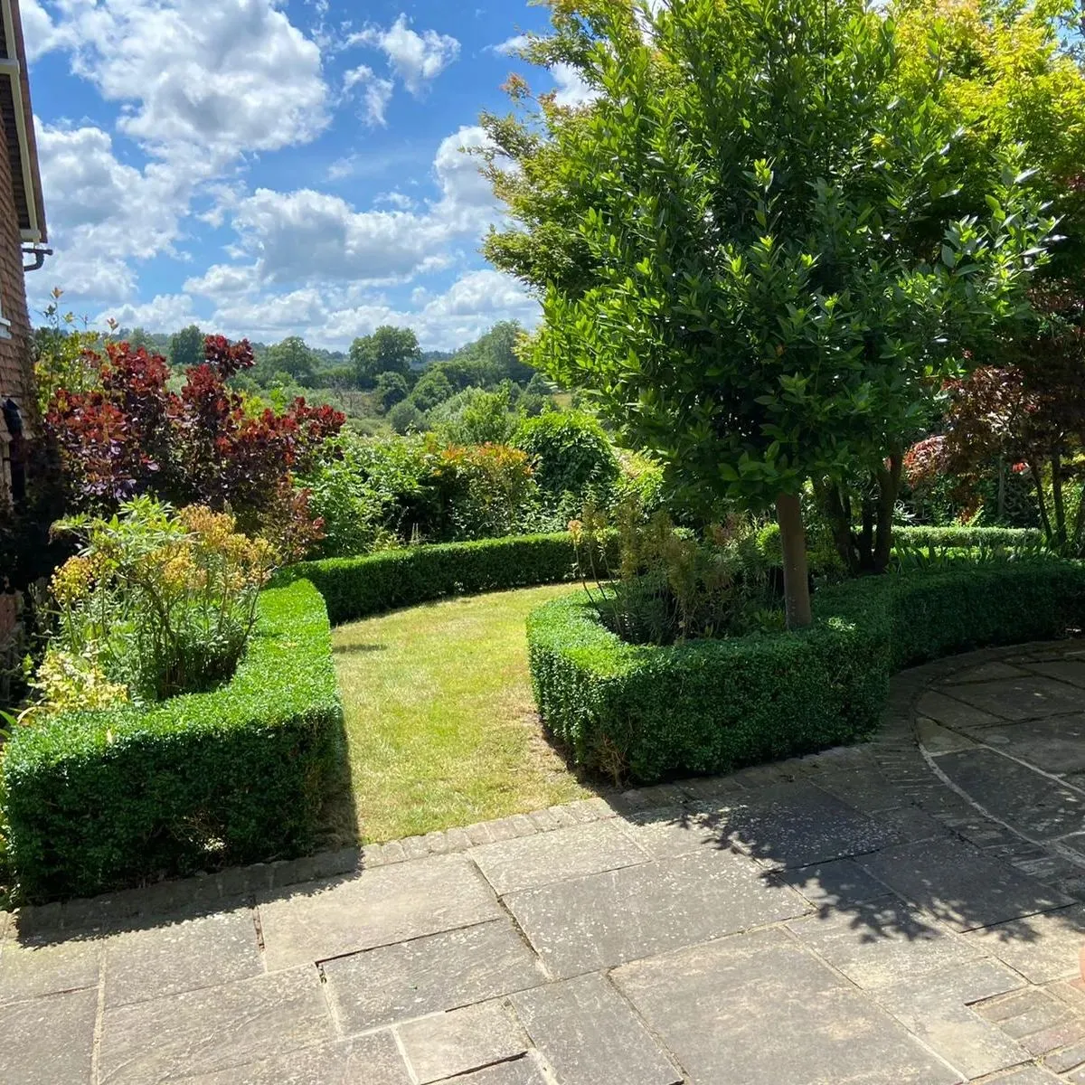 A view of a garden from a house.