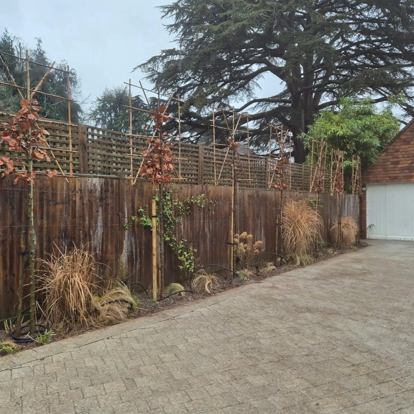 A fence that has a bunch of plants growing on it.